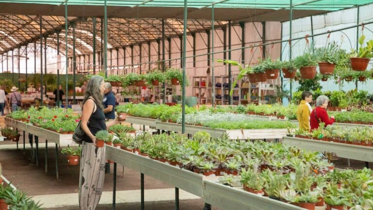 Un minuto de compra GRATIS este miércoles en Garden Center