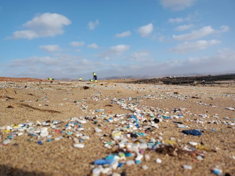 Fuerteventura trabaja en el desarrollo de un Plan Estratégico para prevenir basuras marinas