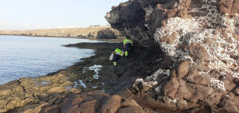 El Observatorio de Basura Marina recoge 17.000 kg de residuos en los últimos seis meses