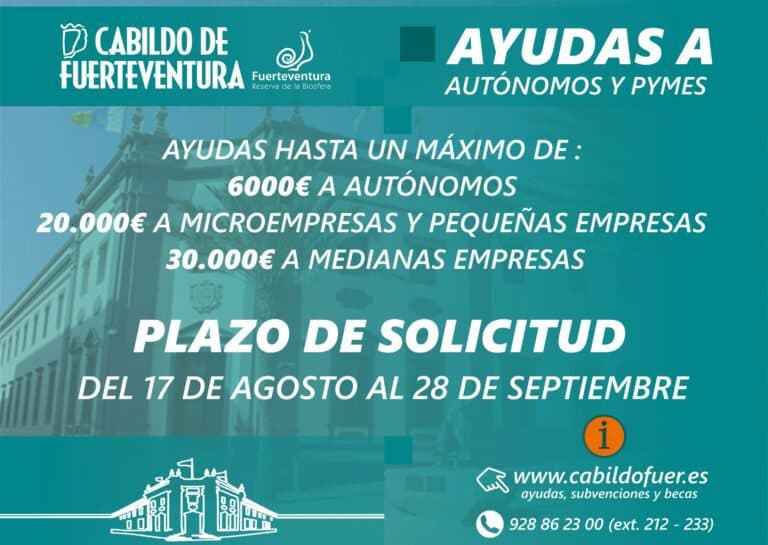 El Cabildo abre este martes el plazo para solicitar las ayudas a autónomos y pymes