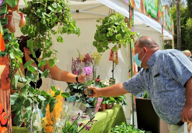 El Mercado Agrícola de Antigua logró un nuevo éxito en ventas de productos locales