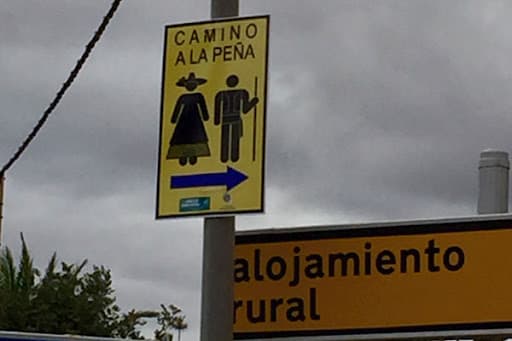 Servicio especial de guaguas con motivo de La Peña