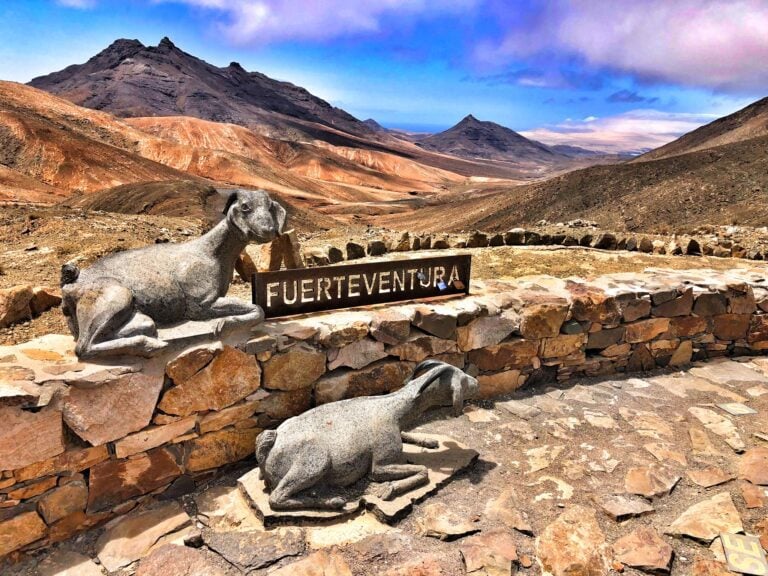 Fuerteventura busca convertirse en sede de la Agencia Europea del Turismo
