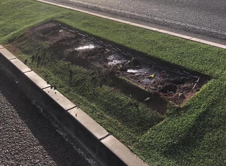 Robo masivo de las flores de Pascua en Puerto del Rosario