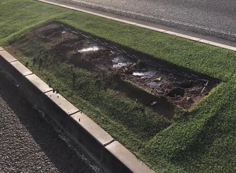 Robo masivo de las flores de Pascua en Puerto del Rosario