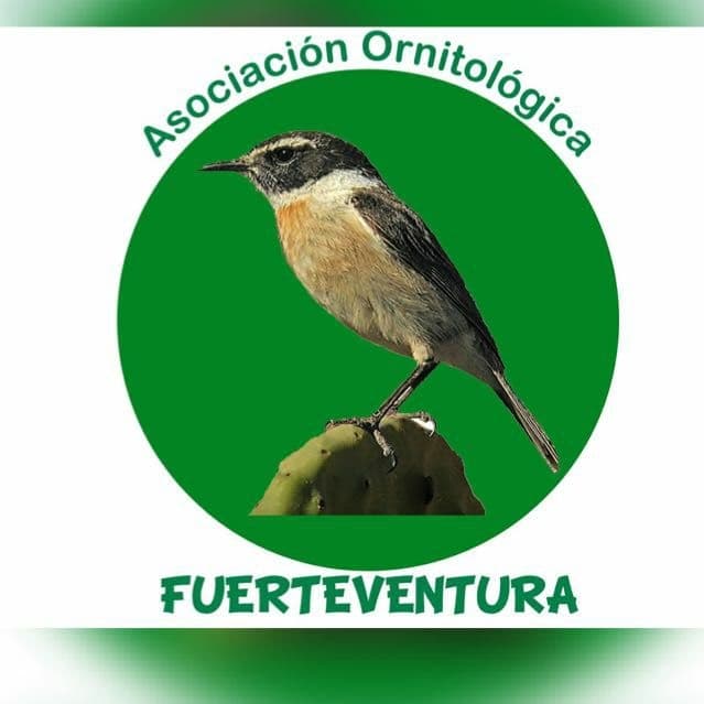 La Asociación Ornitológica de Fuerteventura consigue 34 medallas en el Campeonato Mundial de Aves
