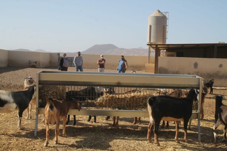 El ganadero Vicente Hernández Peña abre una nueva granja en Antigua