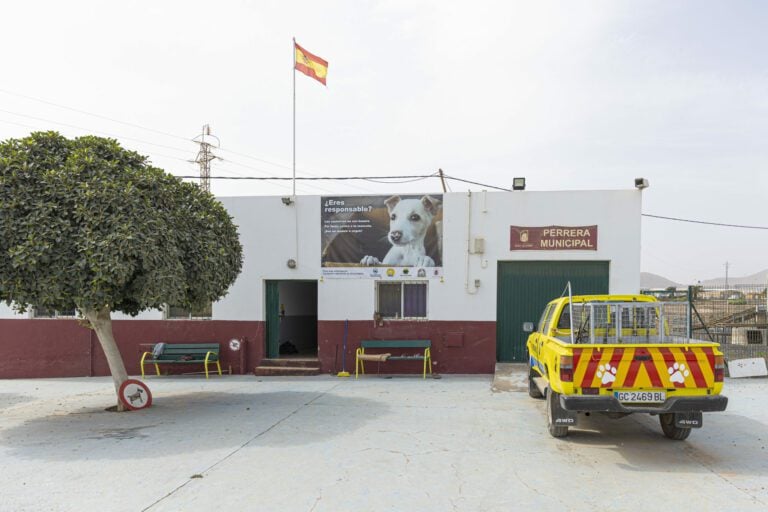 La nueva veterinaria de la Perrera portuense se incorpora el próximo lunes