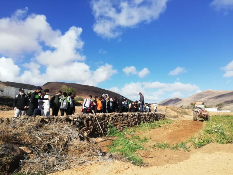 Escolares del IES Puerto Cabras Rafael Báez colaboran para recuperar el paisaje agrícola de Guisguey
