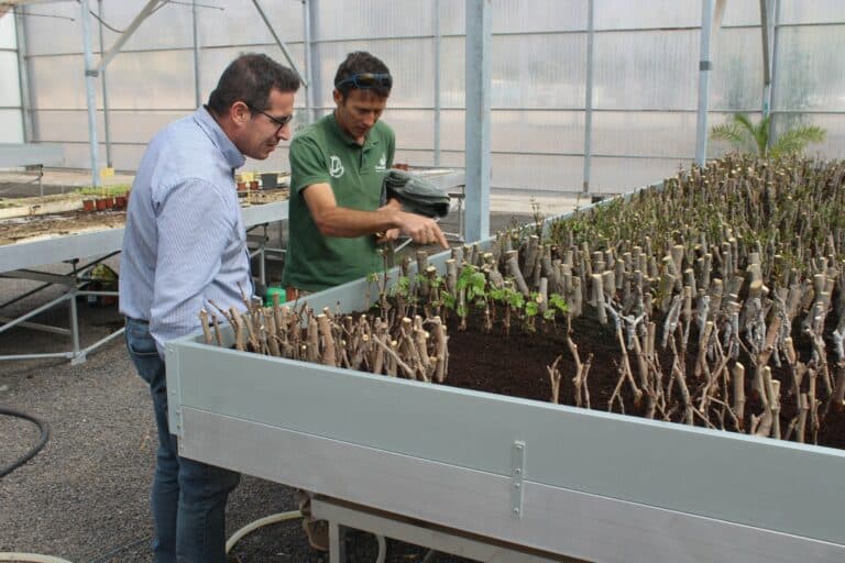 El Cabildo abre la campaña de reparto de frutales el próximo 4 de abril