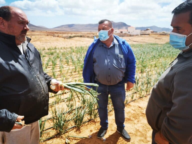 Alcalde y concejal visitan los cultivos de ‘El Gallego’ agricultor presente en el Mercado Agrícola de Antigua