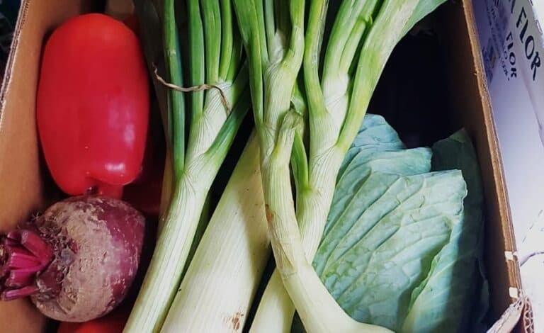 Más allá de una dieta equilibrada: La seguridad alimentaria, clave para prevenir intoxicaciones