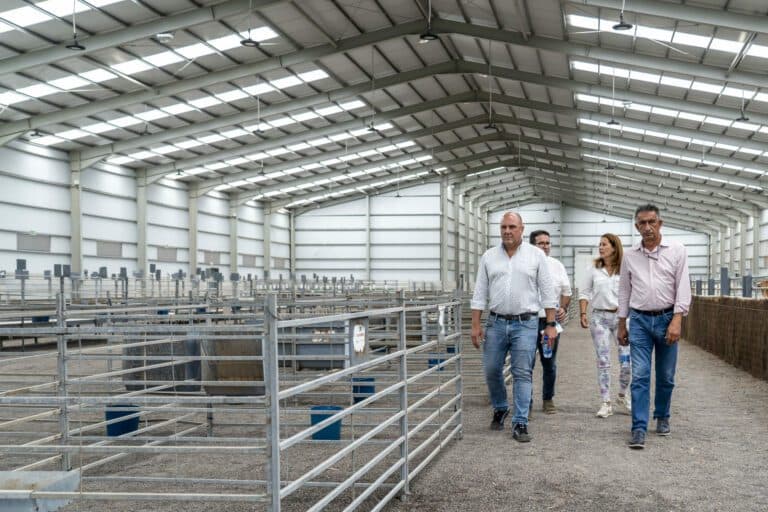 Cuenta atrás para el esperado regreso de FEAGA