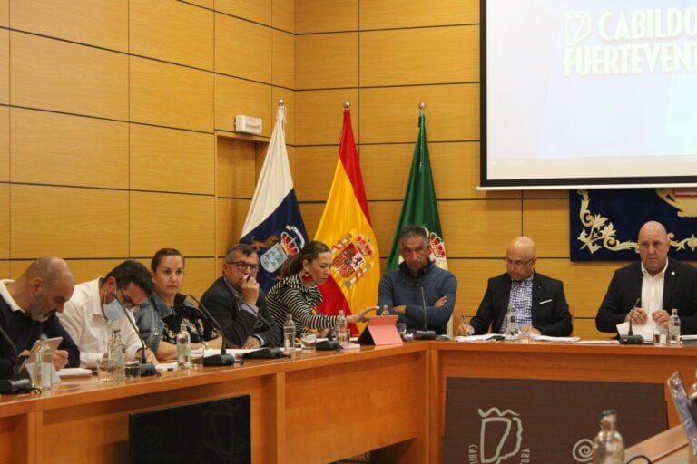 Aprobada la ordenanza de las becas de formación práctica del Cabildo