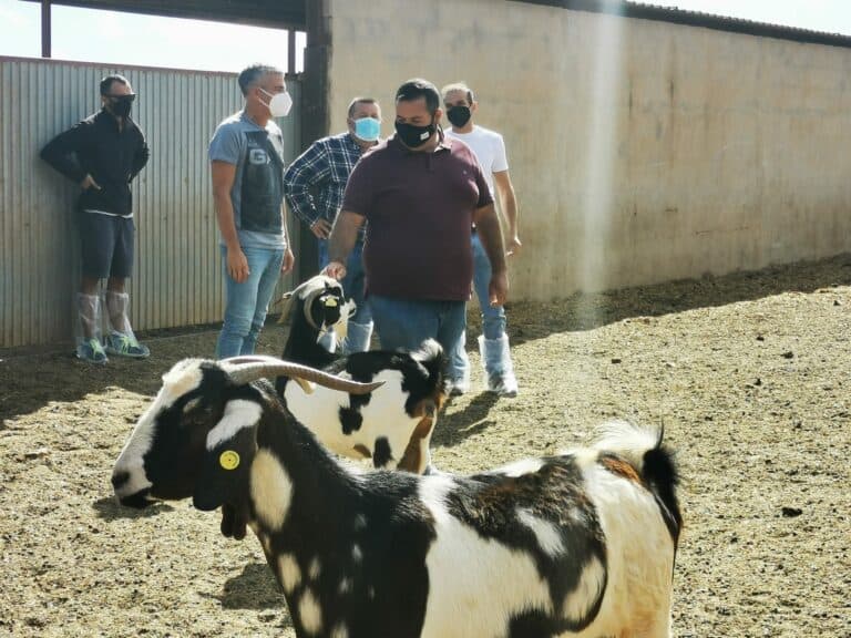 Antigua destina 135.000 euros en subvenciones al sector primario