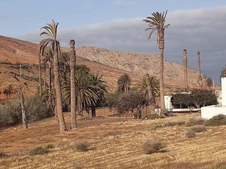 Betancuria proyecta la mejora de varios espacios del Municipio