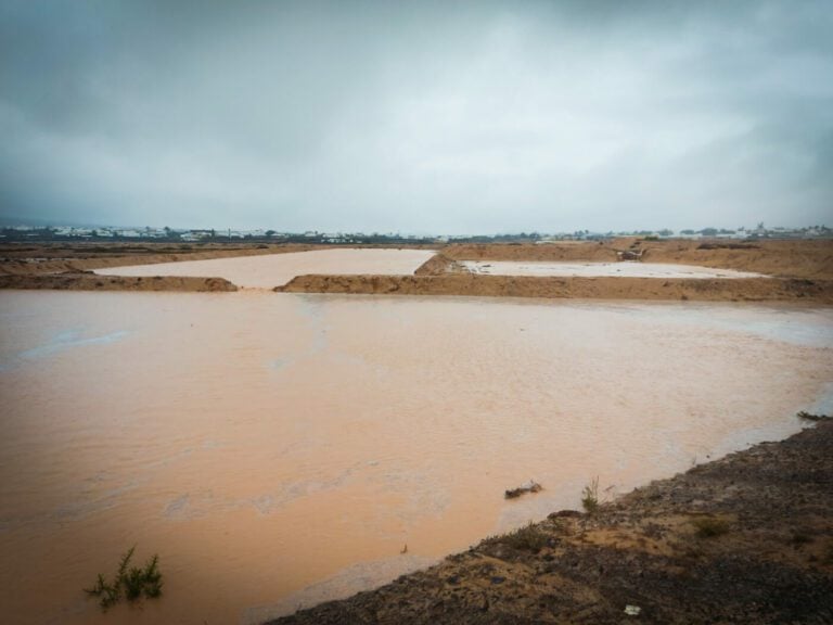 La tormenta Hermine deja agua para el futuro del campo de Fuerteventura