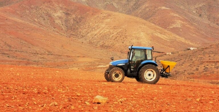PSOE propone establecer un “banco de tierras” en Fuerteventura para potenciar la Economía Verde