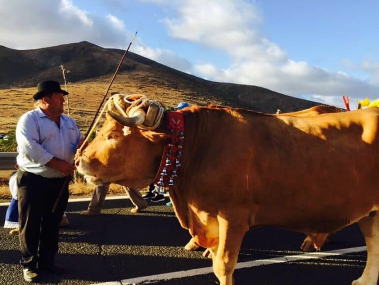 Antigua rinde honores a la virgen de La Peña con carreta, rondalla y flores