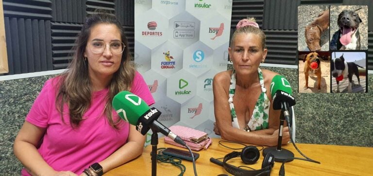 7 perros sacrificados en la perrera municipal de Puerto del Rosario