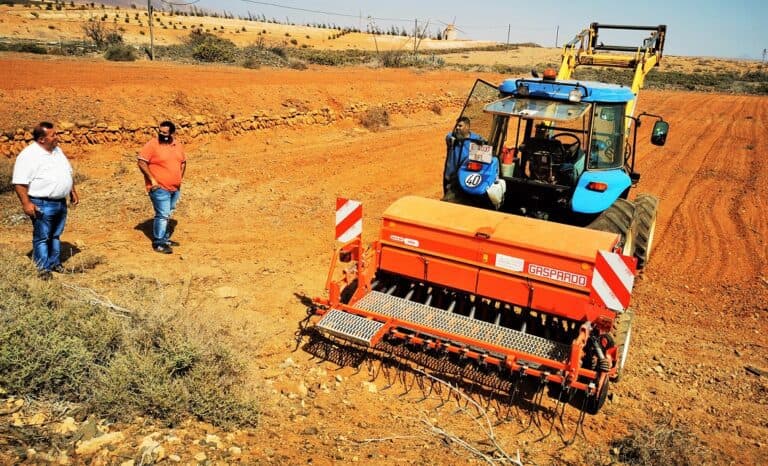 Antigua inicia la siembra de 5,5 toneladas de trigo