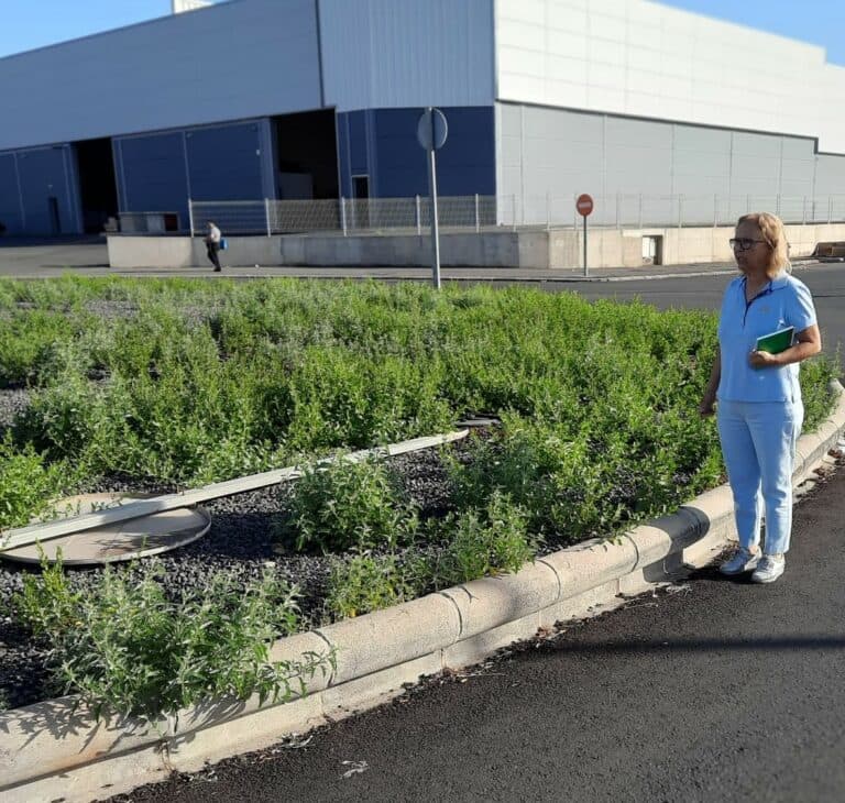 Pilar Rodríguez denuncia el «abandono» que sufren los empresarios y trabajadores de El Cuchillete