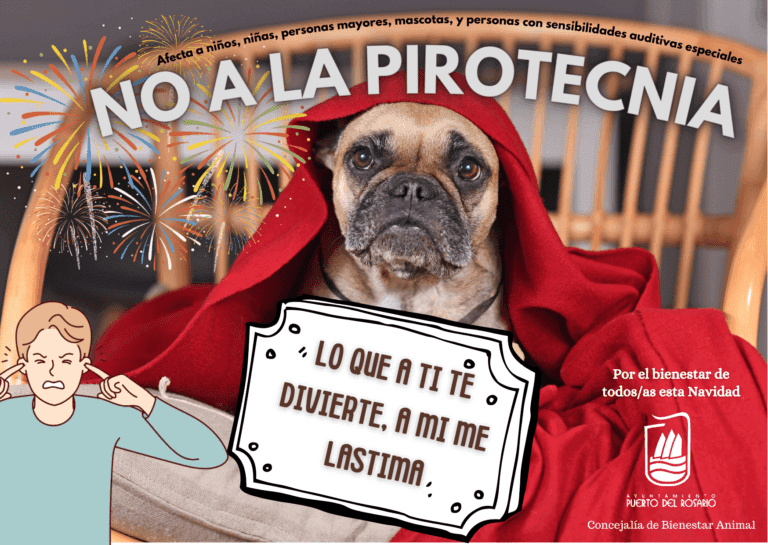 Puerto del Rosario pide evitar el uso de pirotecnia para proteger a las mascotas