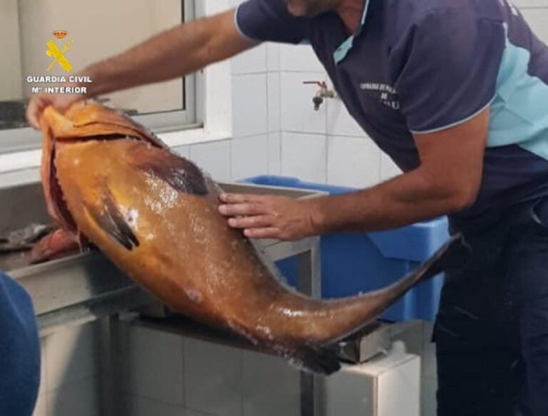 Incautan 36 kilos de pescado en Fuerteventura