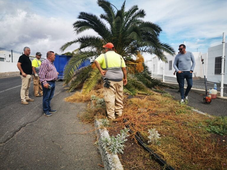 Tres cuadrillas trabajan en solventar problemas de iluminación, limpieza y mantenimiento en Caleta de Fuste