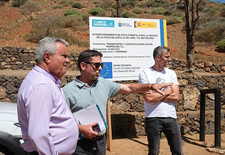 El Cabildo invierte 1,3M€ en la conservación del Pinar de Betancuria