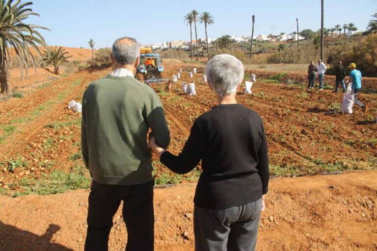 Antigua inicia la primavera con la tradicional recogida de papas