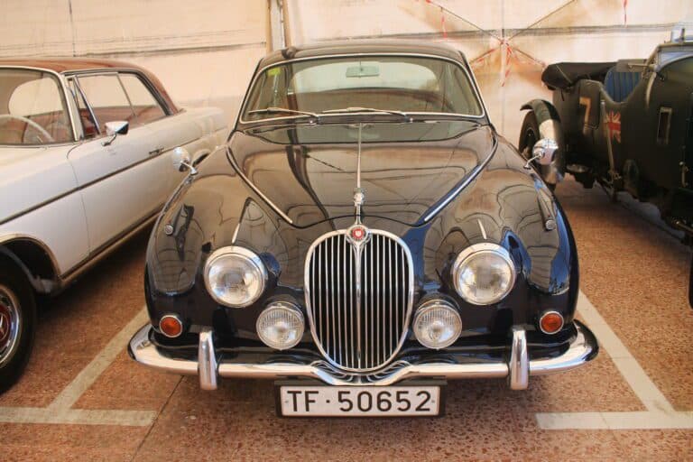 Concentración en Antigua de automóviles clásicos canarios