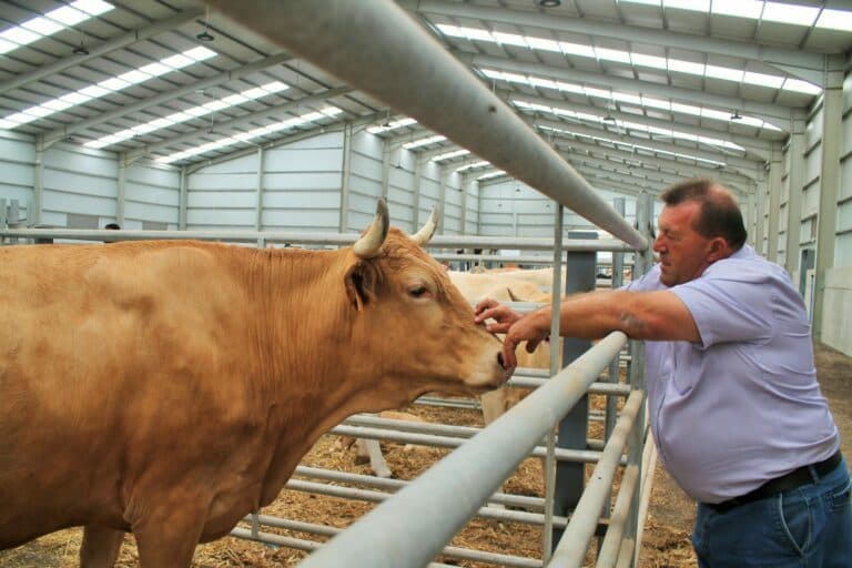 Último día para solicitar las ayudas de Antigua para la alimentación del ganado