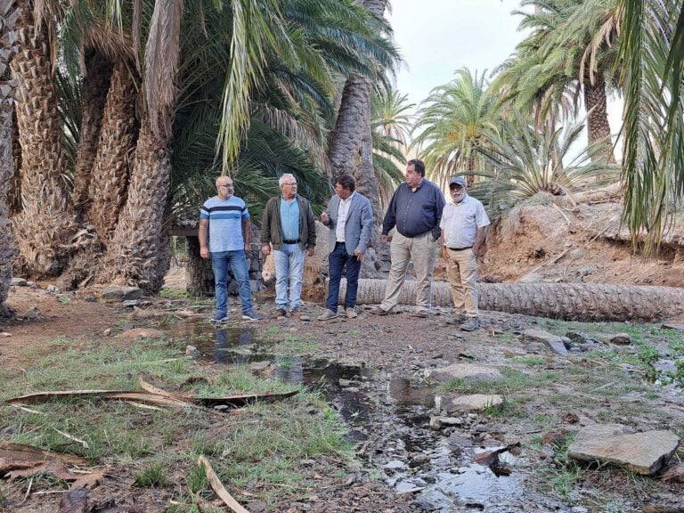 Plan integral para la regeneración del barranco de Río Palmas-Ajuy