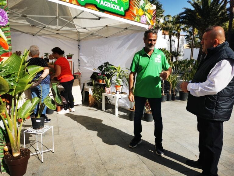 Mercado agrícola este domingo en Antigua con hortalizas frescas y la parranda Los Aperos
