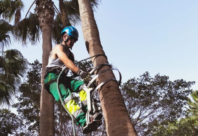 Curso de Prevención de Riesgos Laborales en el uso de motosierra y desbrozadora en Antigua