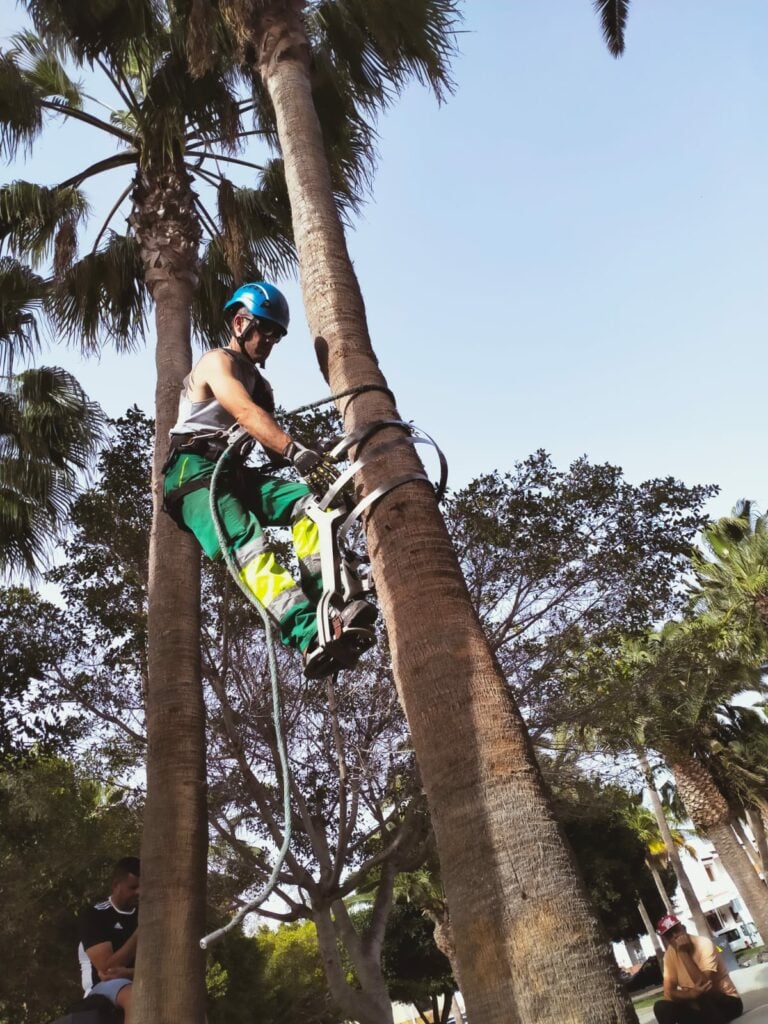 Los Cursos Especializados de Antigua abren puertas al mundo profesional en jardines y cultivos