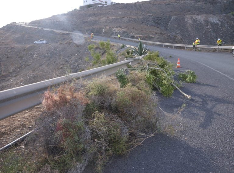 El Cabildo impulsa la limpieza de la carretera que une el Valle de Santa Inés y Aguas Verdes