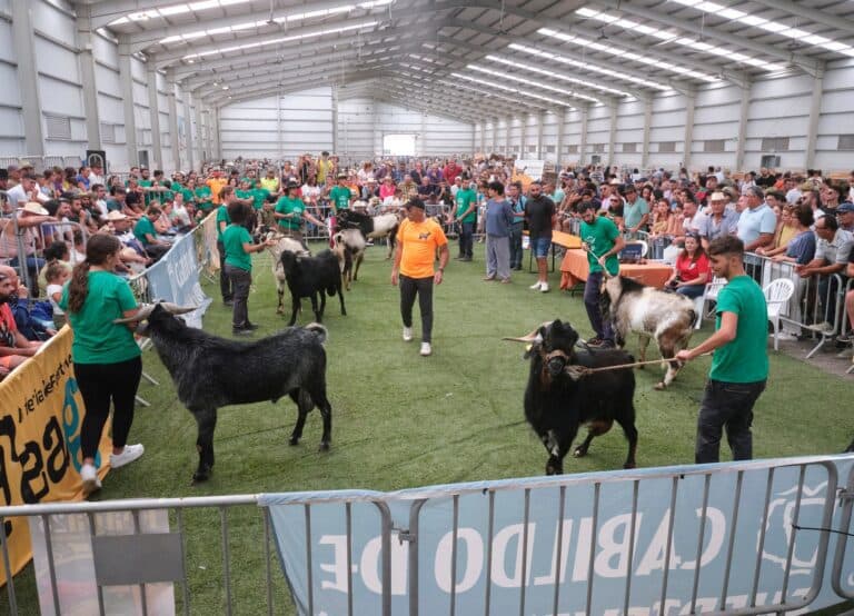 Especial FEAGA 2023, esta tarde en Mírame TV (17:00 h)