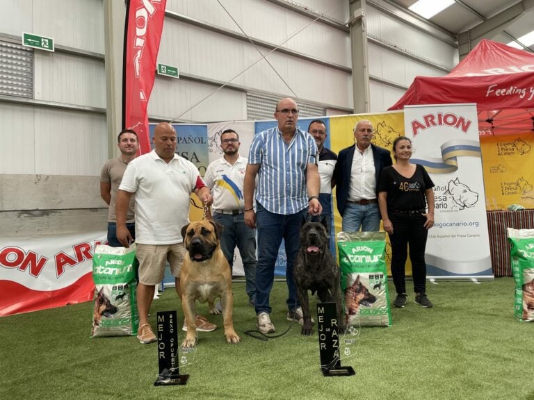 60 ejemplares de Presa Canario participan en el Concurso Monográfico de FEAGA