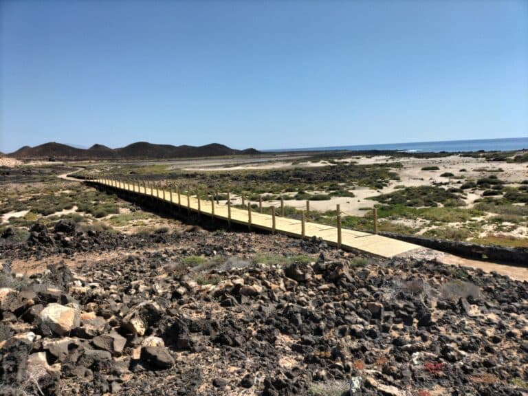 Finalizan las obras de la nueva pasarela de madera en el Islote de Lobos