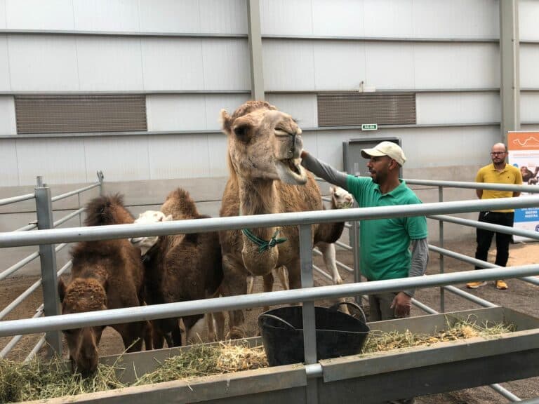 Dromemilk y Compost Majorero participan en Feaga con talleres y formaciones