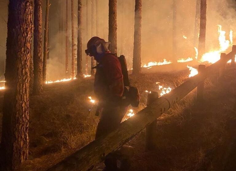 Un amplio dispositivo lucha para extinguir el incendio de Tenerife que afecta a seis municipios