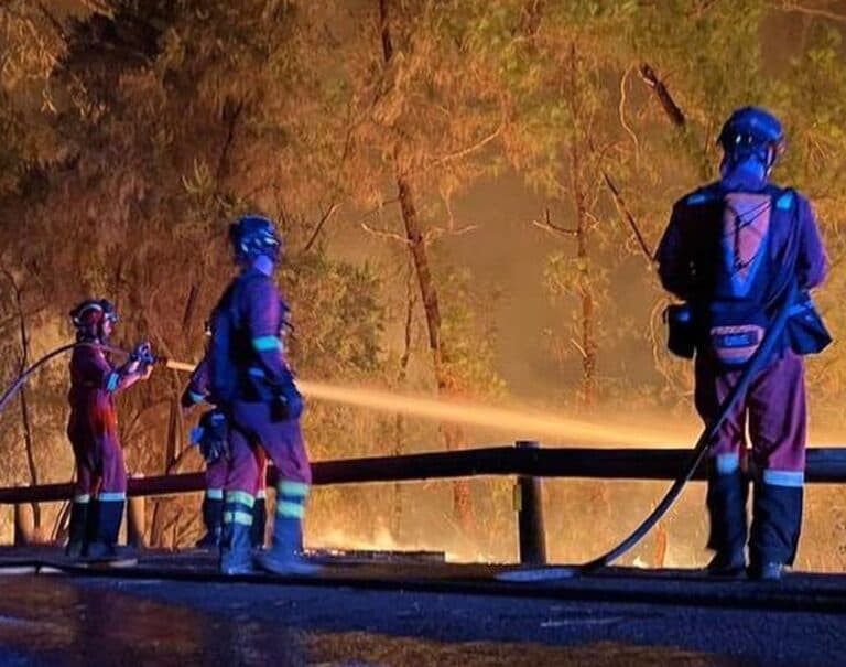 El fuego también desaloja a los animales: mil gallinas, 230 cabras y más de 200 perros