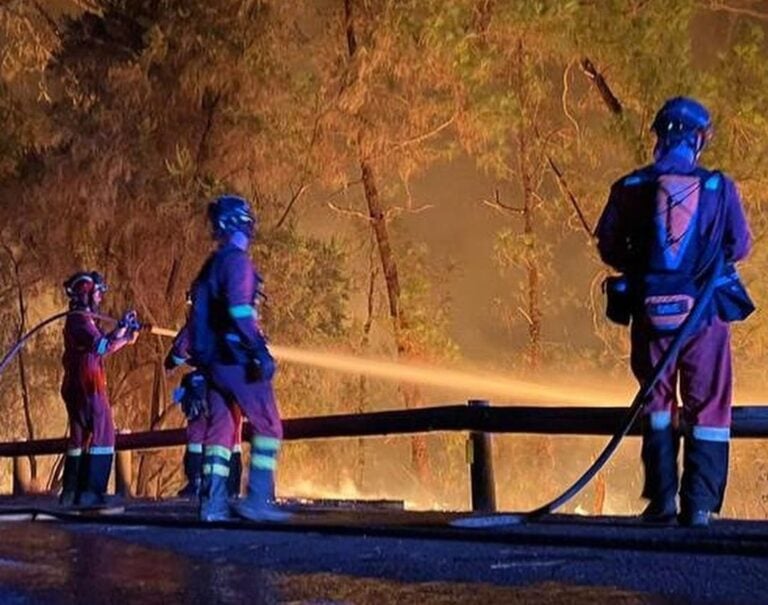 El fuego también desaloja a los animales: mil gallinas, 230 cabras y más de 200 perros
