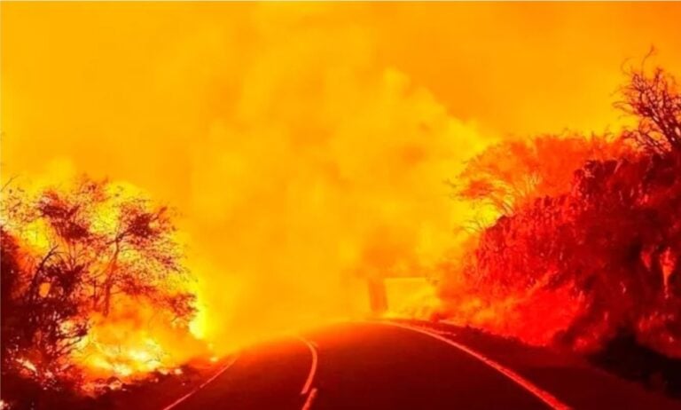 El incendio empieza a «normalizarse» y los esfuerzos se concentran en el norte de Tenerife