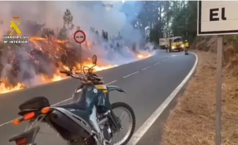El incendio de Tenerife afecta ya a 5.000 hectáreas de diez municipios de la isla