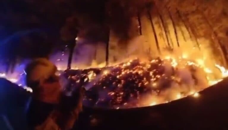 Se confirma que el incendio de Tenerife fue intencionado