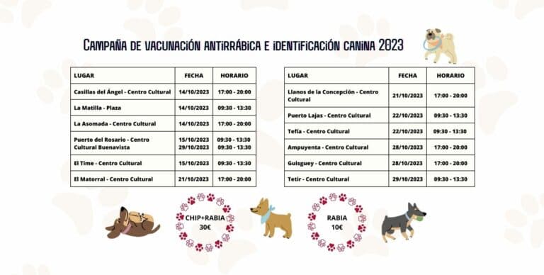 Campaña de vacunación antirrábica e identificación canina en Puerto del Rosario