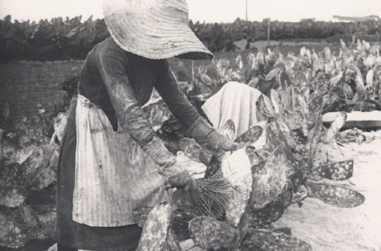 El PFAE ‘Cultureando Fuerteventura’ ofrece una obra de teatro para dar voz a la mujer majorera